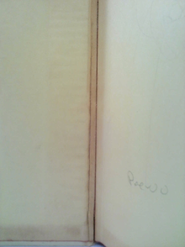 Actual Product Display 2