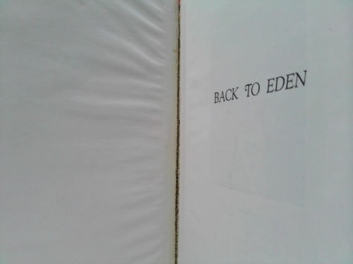 Actual Product Display 2