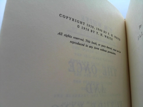 Actual Product Display 2