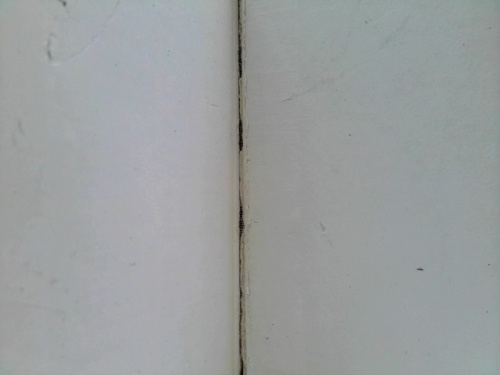 Actual Product Display 2