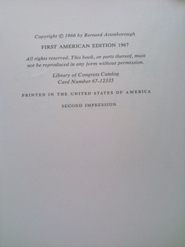 Actual Product Display 2