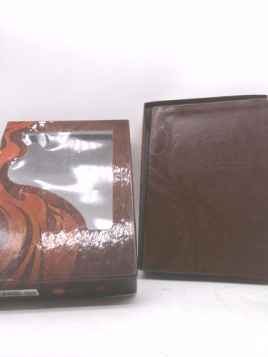 MEV Fire Bible: Modern English Version