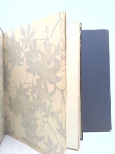 Actual Product Display 6