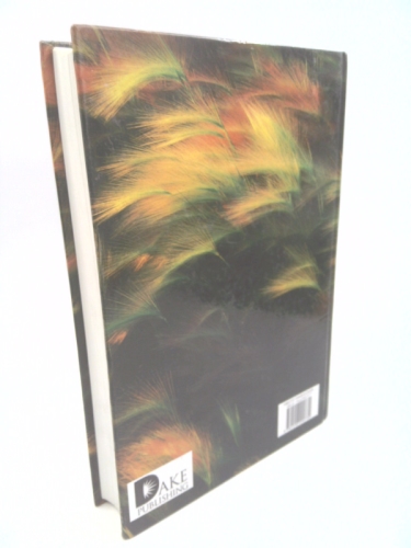 Actual Product Display 2