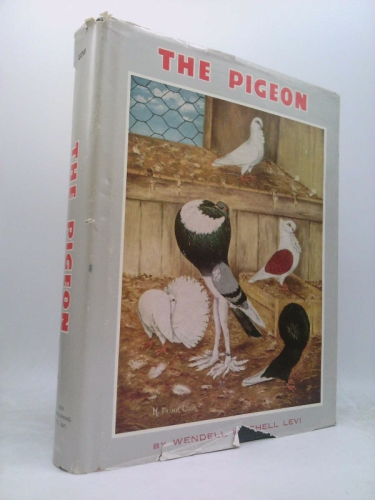 The Pigeon