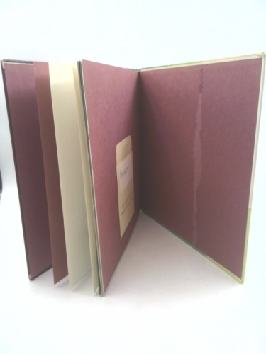 Actual Product Display 6