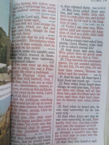 Actual Product Display 2