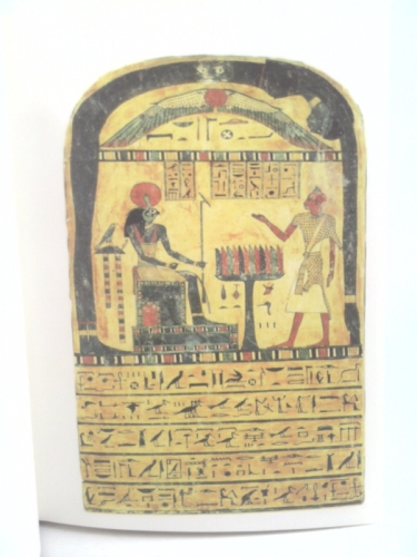 Actual Product Display 3