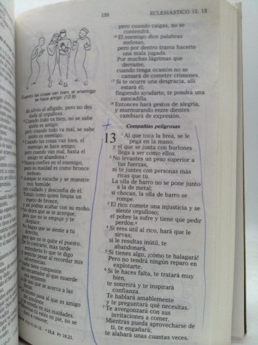 Actual Product Display 2