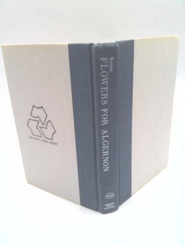 Actual Product Display 6