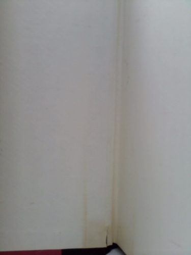 Actual Product Display 3