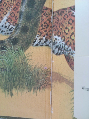 Actual Product Display 3