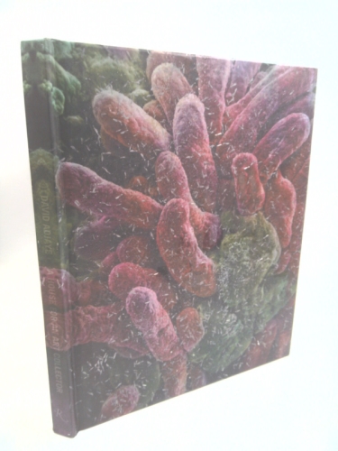 David Adjaye: A House for an Art Collector