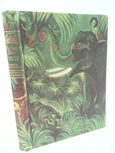 Actual Product Display Primary Cover