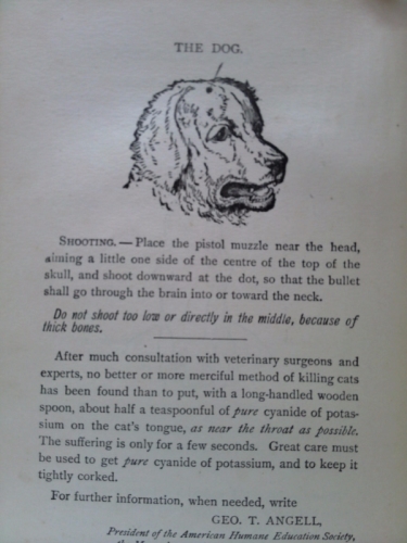 Actual Product Display 2