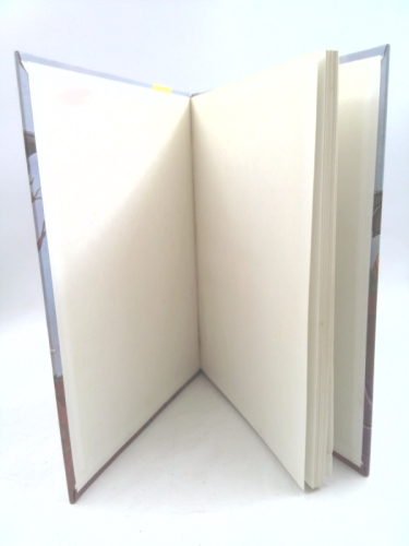 Actual Product Display 4