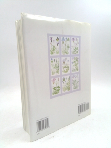 Actual Product Display 2