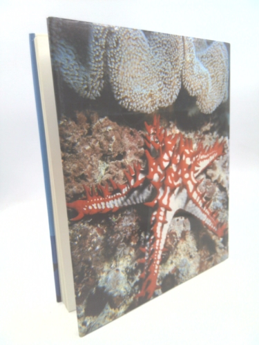 Actual Product Display 2