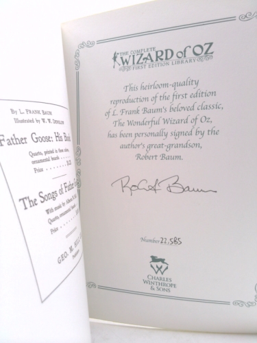 Actual Product Display 2