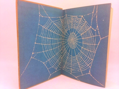 Actual Product Display 3