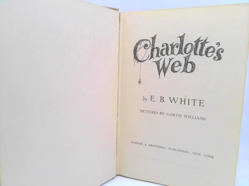 Actual Product Display 4