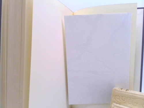 Actual Product Display 3