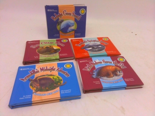 Armadillo's Midnight Adventure