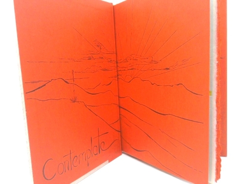 Actual Product Display 2