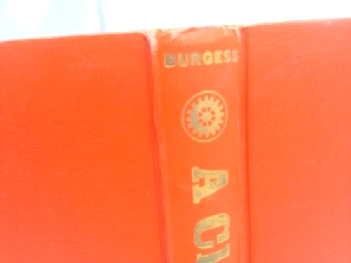 Actual Product Display 6