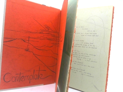 Actual Product Display 2