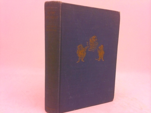 Actual Product Display Primary Cover