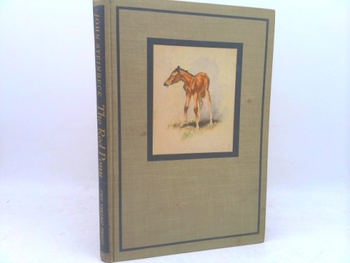 Actual Product Display Primary Cover