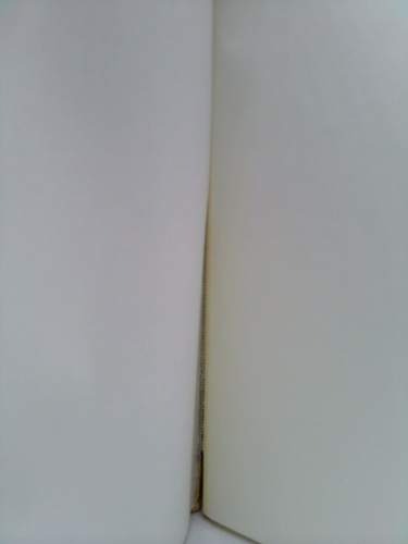 Actual Product Display 2