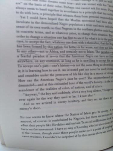 Actual Product Display 3