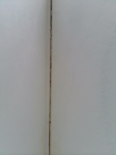 Actual Product Display 5