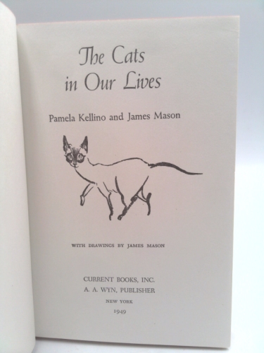 Actual Product Display 3