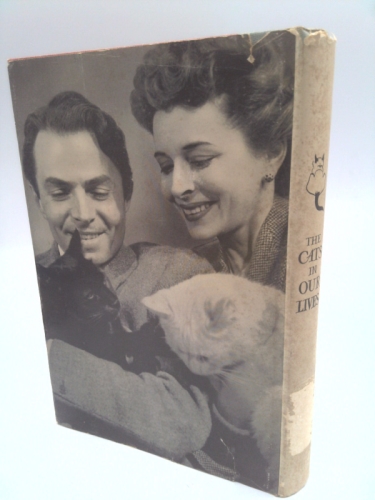 Actual Product Display 4