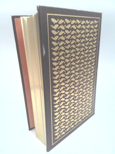 Actual Product Display 2