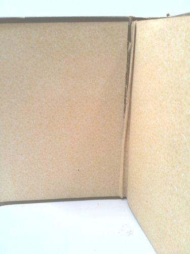 Actual Product Display 4