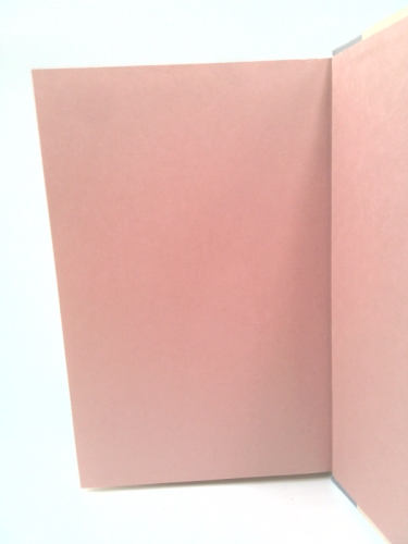 Actual Product Display 6