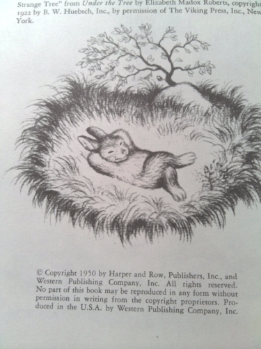 Actual Product Display 2