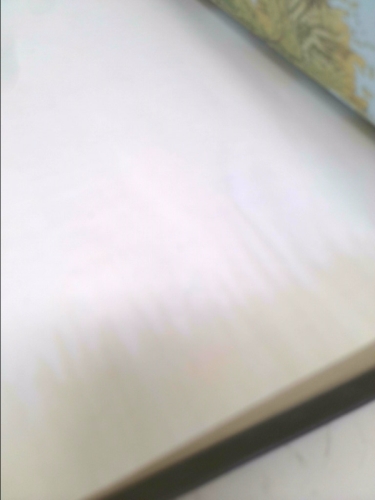 Actual Product Display 5