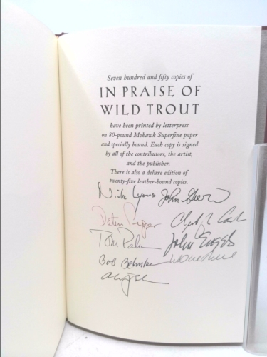 Actual Product Display 2