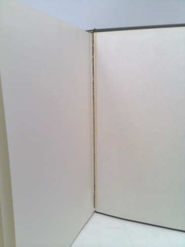Actual Product Display 3