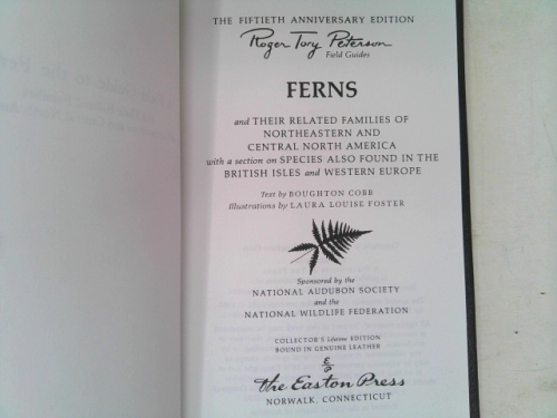 Actual Product Display 2