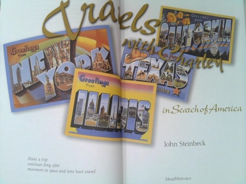 Actual Product Display 2