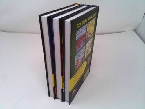 Actual Product Display 2