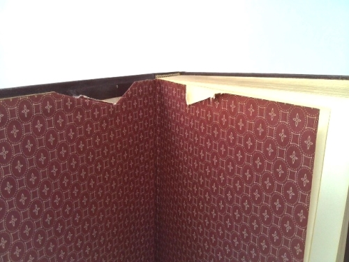 Actual Product Display 3