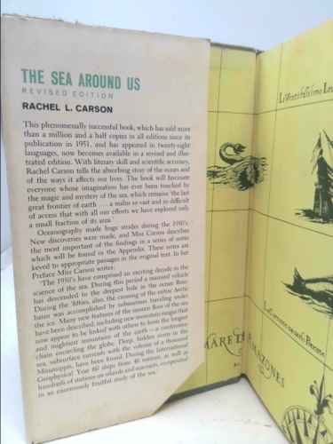 Actual Product Display 2