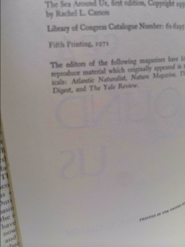 Actual Product Display 3